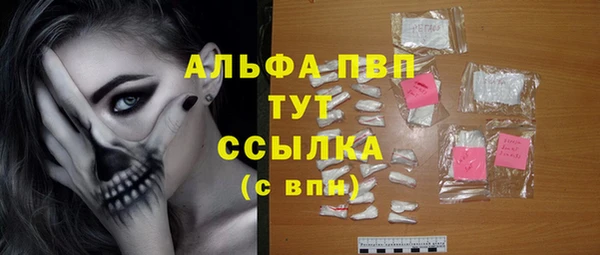 прущие грибы Михайловка