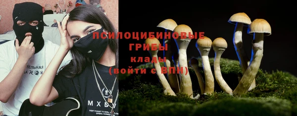 прущие грибы Михайловка