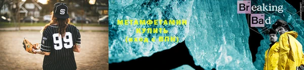 прущие грибы Михайловка