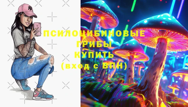соль ск Мегион