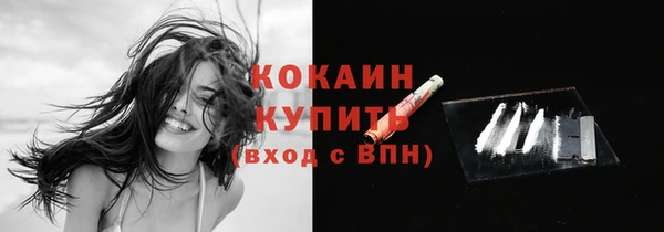 PSILOCYBIN Медвежьегорск