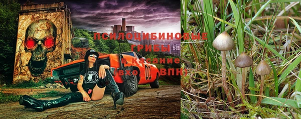 трава Бородино