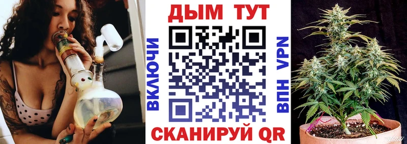 купить   Козьмодемьянск  Каннабис семена 